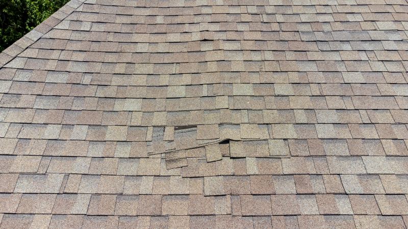 Roof Damage Inspection